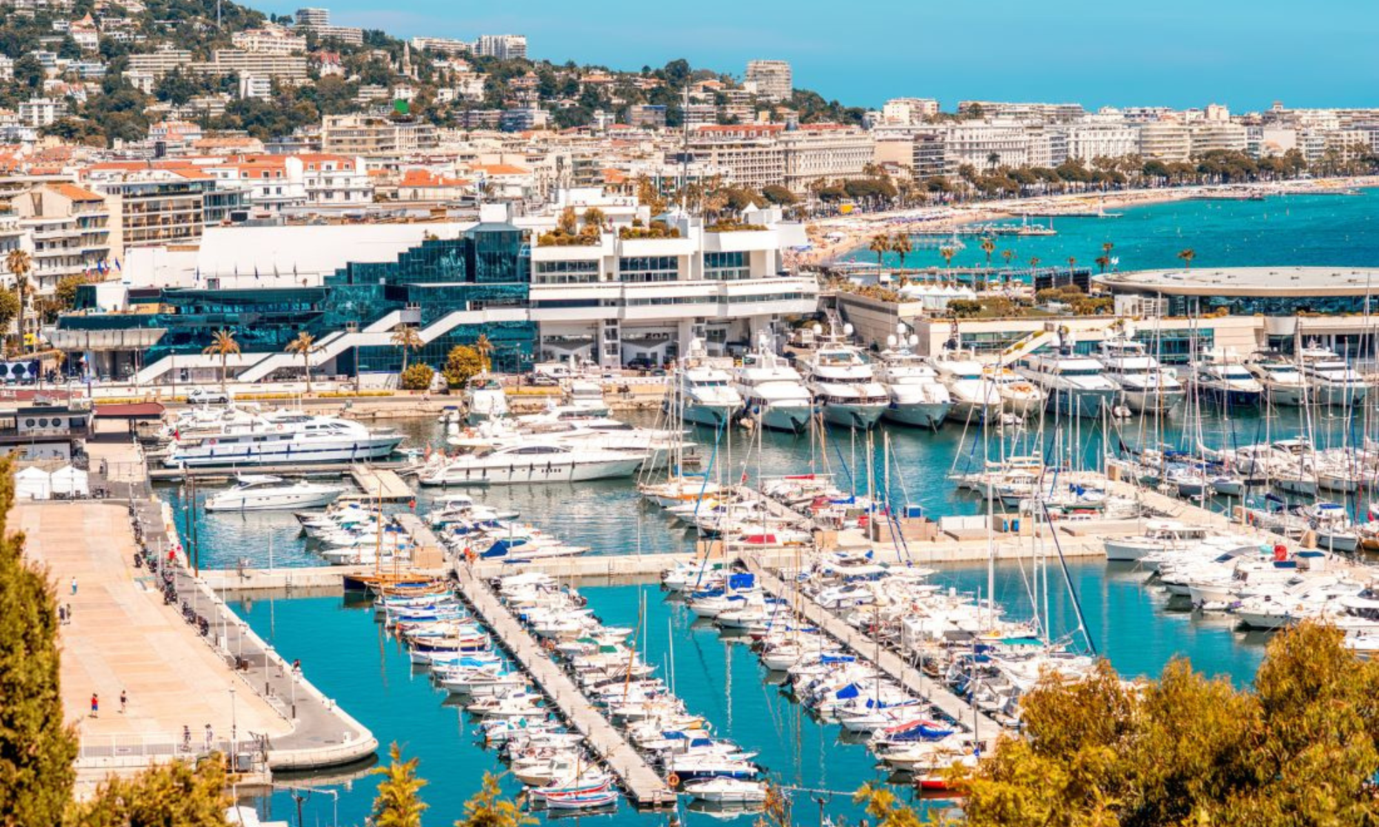 Port de Cannes