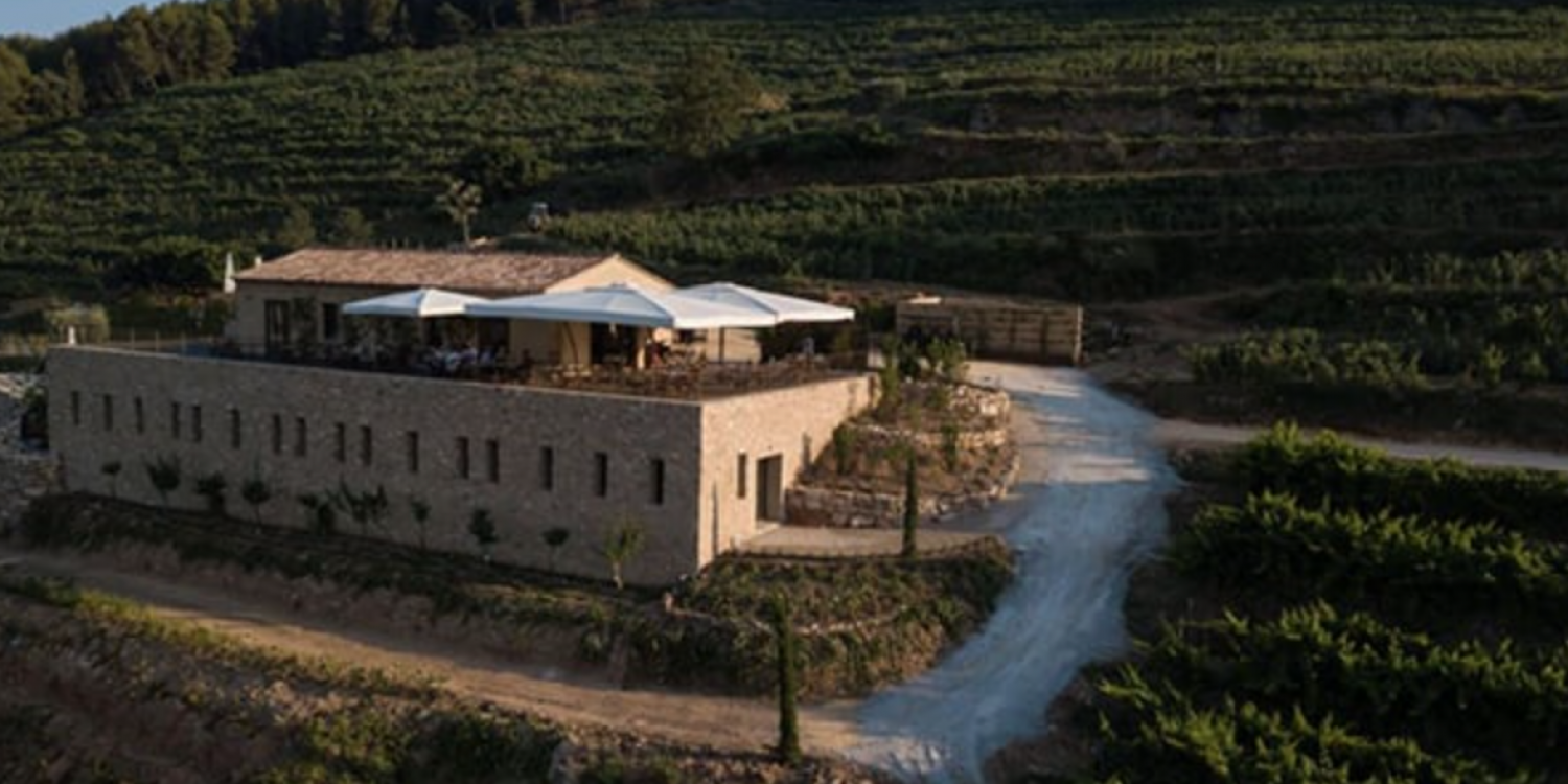 Photo 1 - Domaine viticole avec une vue panoramique au cœur de l'appellation Bandol  - Domaine