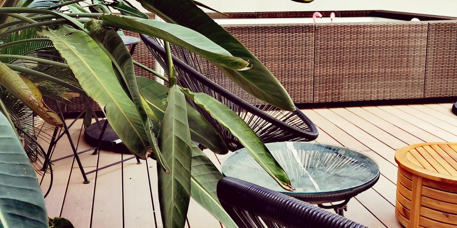 Photo 1 - Appartement 140m2 centre Cannes avec terrasse 90m2 - Meubles de jardin et plantes