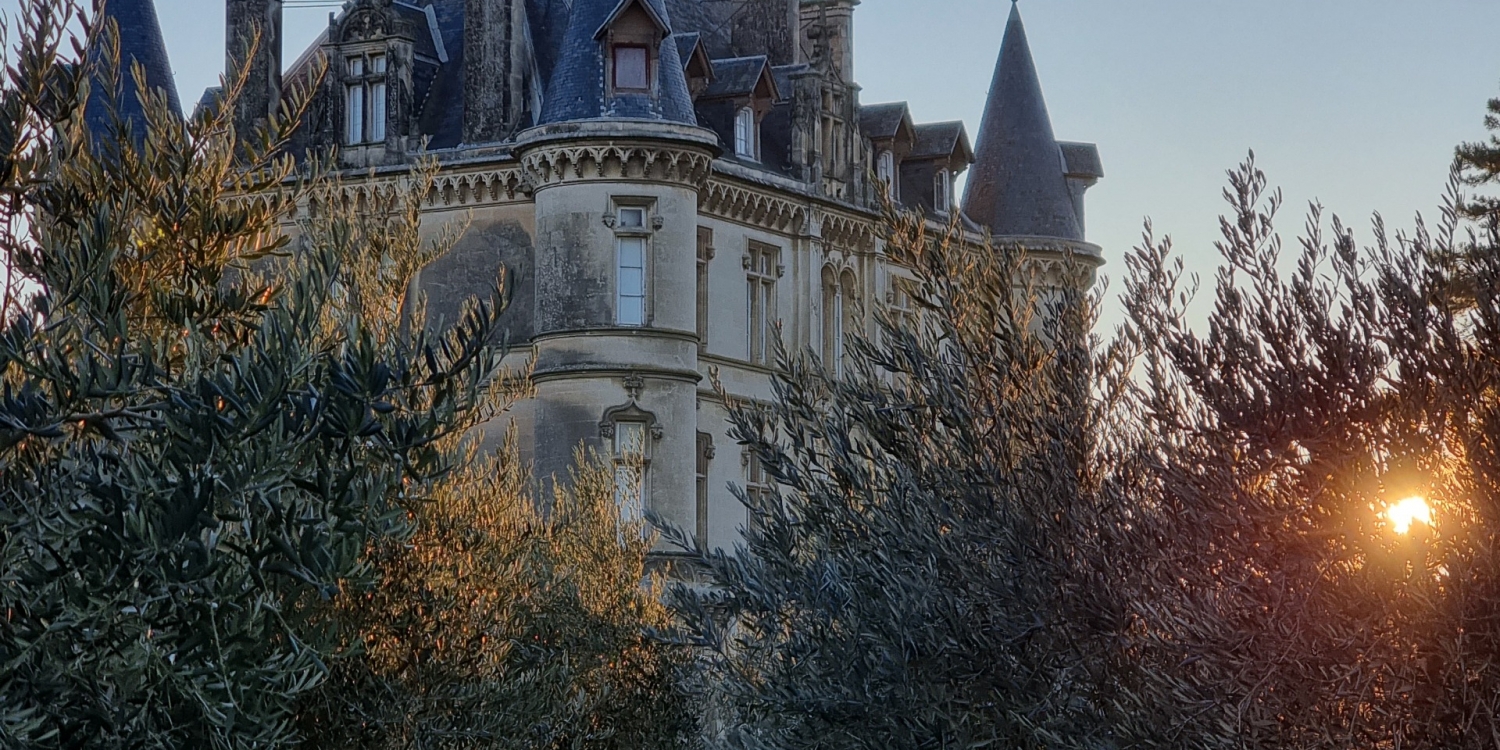 Photo 1 - Château en Provence - 
