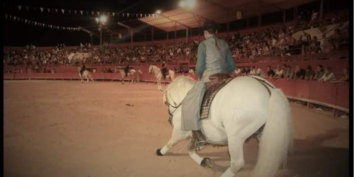 Photo 0 - Manade equestrian cabaret - 