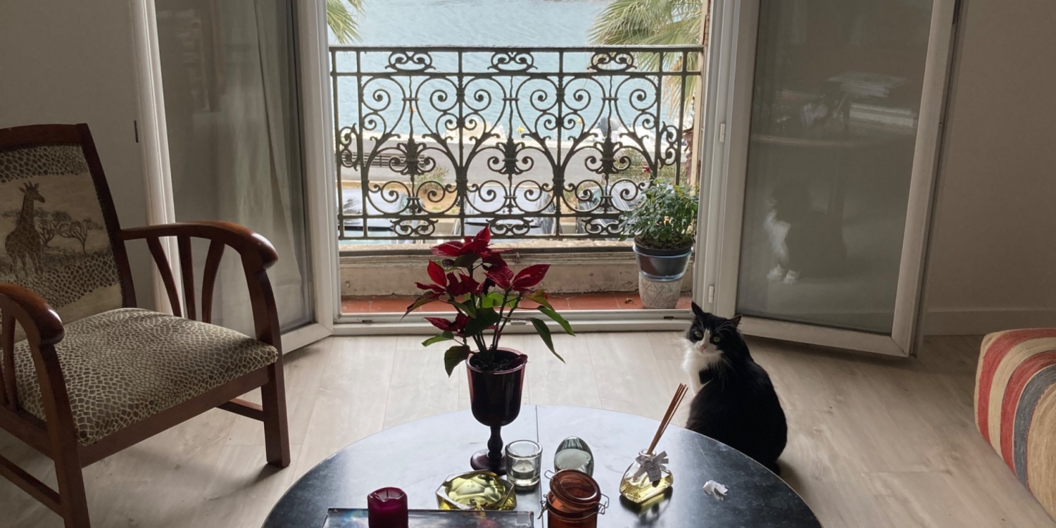 Photo 1 - Luxury Haussmanian apartment - La vue depuis l’espace salon 