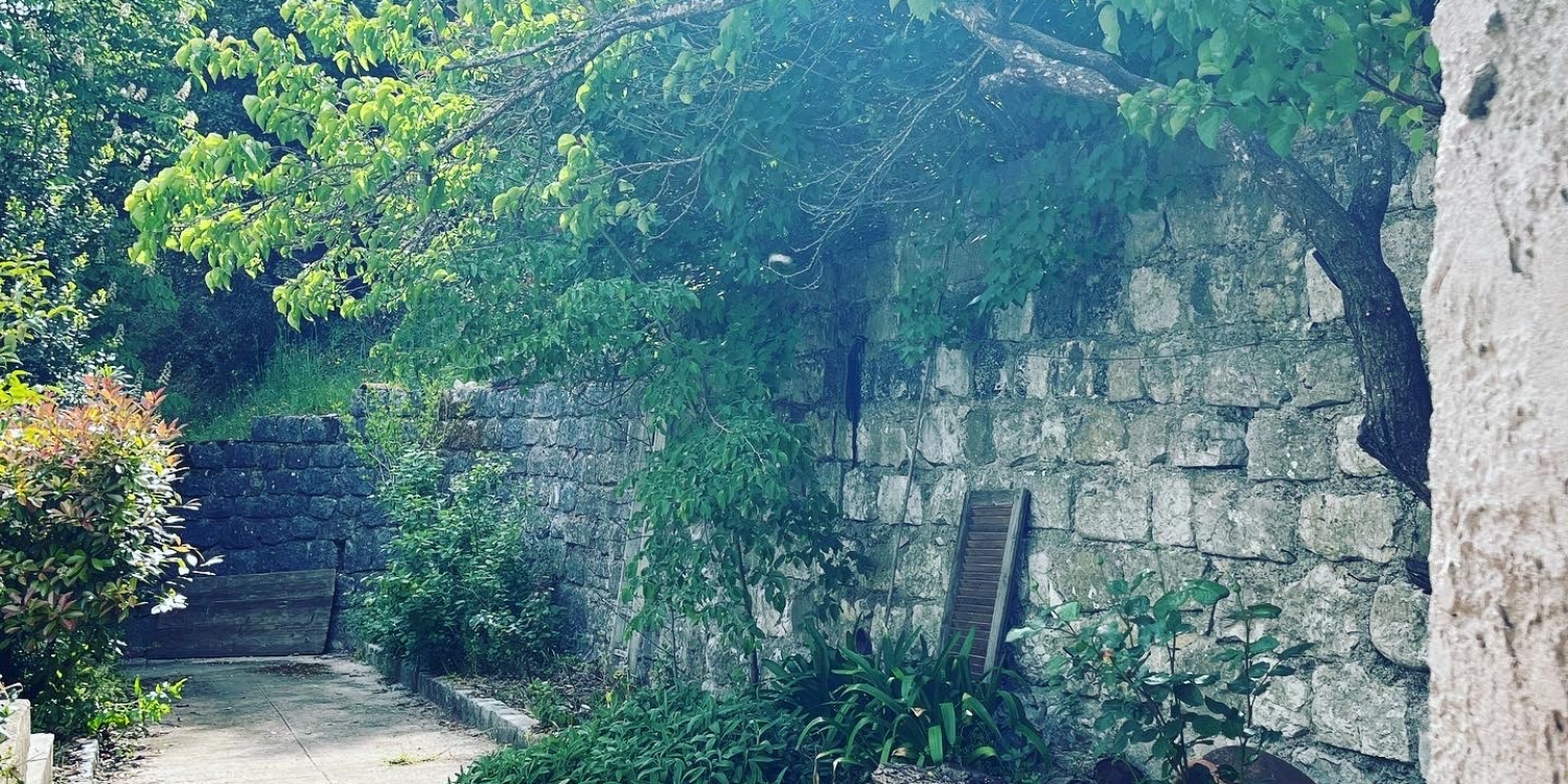 Photo 1 - Rez-de-chaussée d’une maison niçoise avec jardin  - allée jardin 