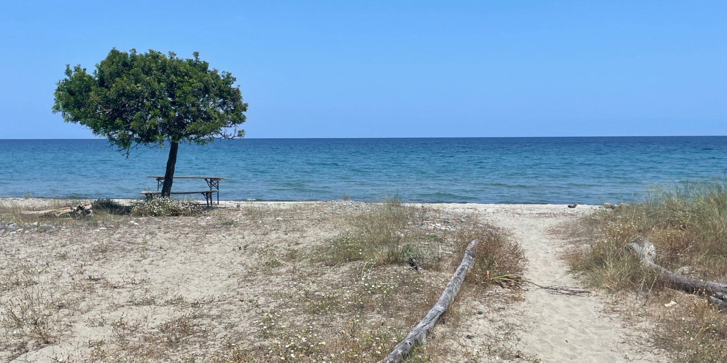 Photo 1 - Bar-Lounge & Terrasse vue mer - La plage de sable fin et eau turquoise à 30 mètres
