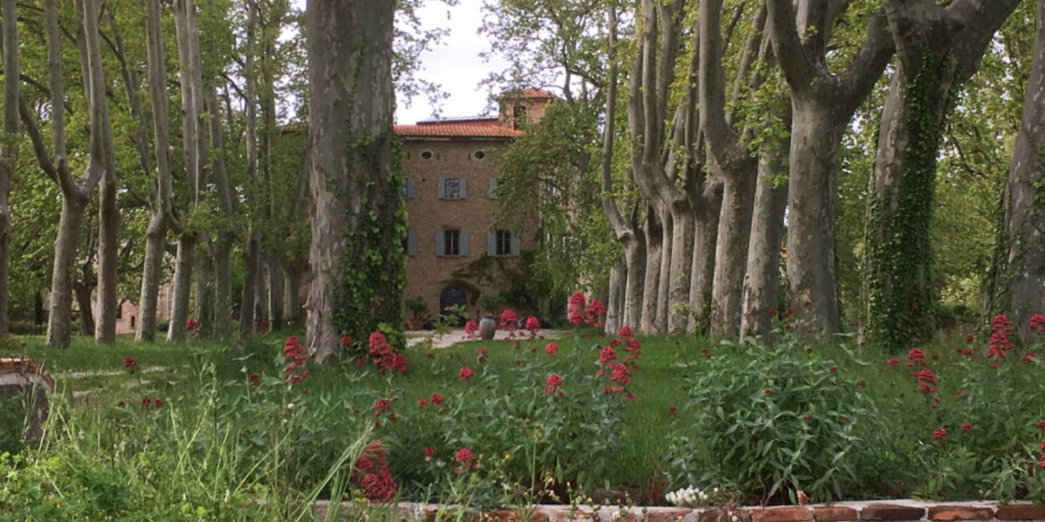Photo 1 - Family castle in exceptional wine estate - Le domaine et le parc