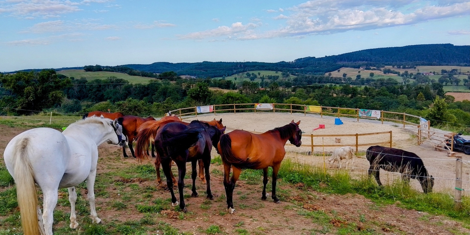 Photo 0 - Lieu champêtre avec vue panoramique - Disposez un chapiteau sur la carrière entourez des chevaux et de Sirius et Cassiopée nos 2 vaches