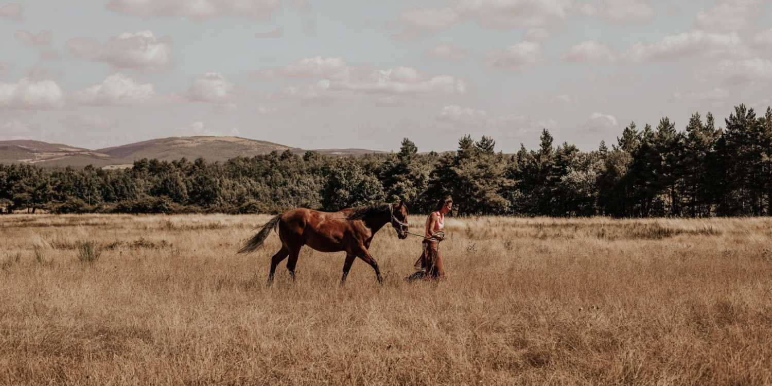 Photo 0 - Un Ranch en Provence - 