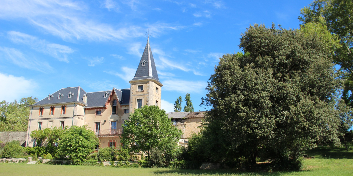 Photo 0 - Château au coeur des  vignes  - parc et château