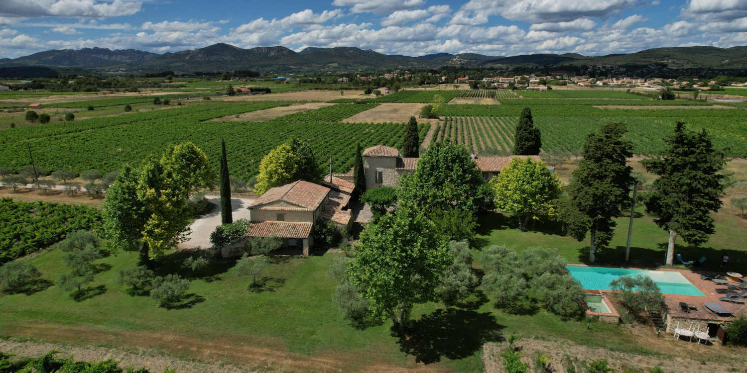 Photo 0 - Domaine viticole familial au pied du Ventoux - Le domaine