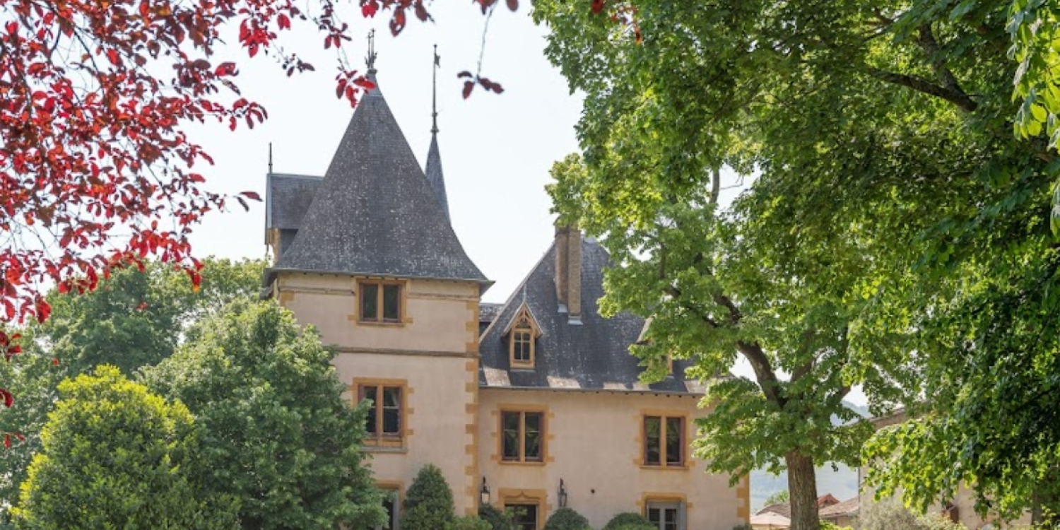 Photo 0 - Château avec vignes dans le Beaujolais - Le château 