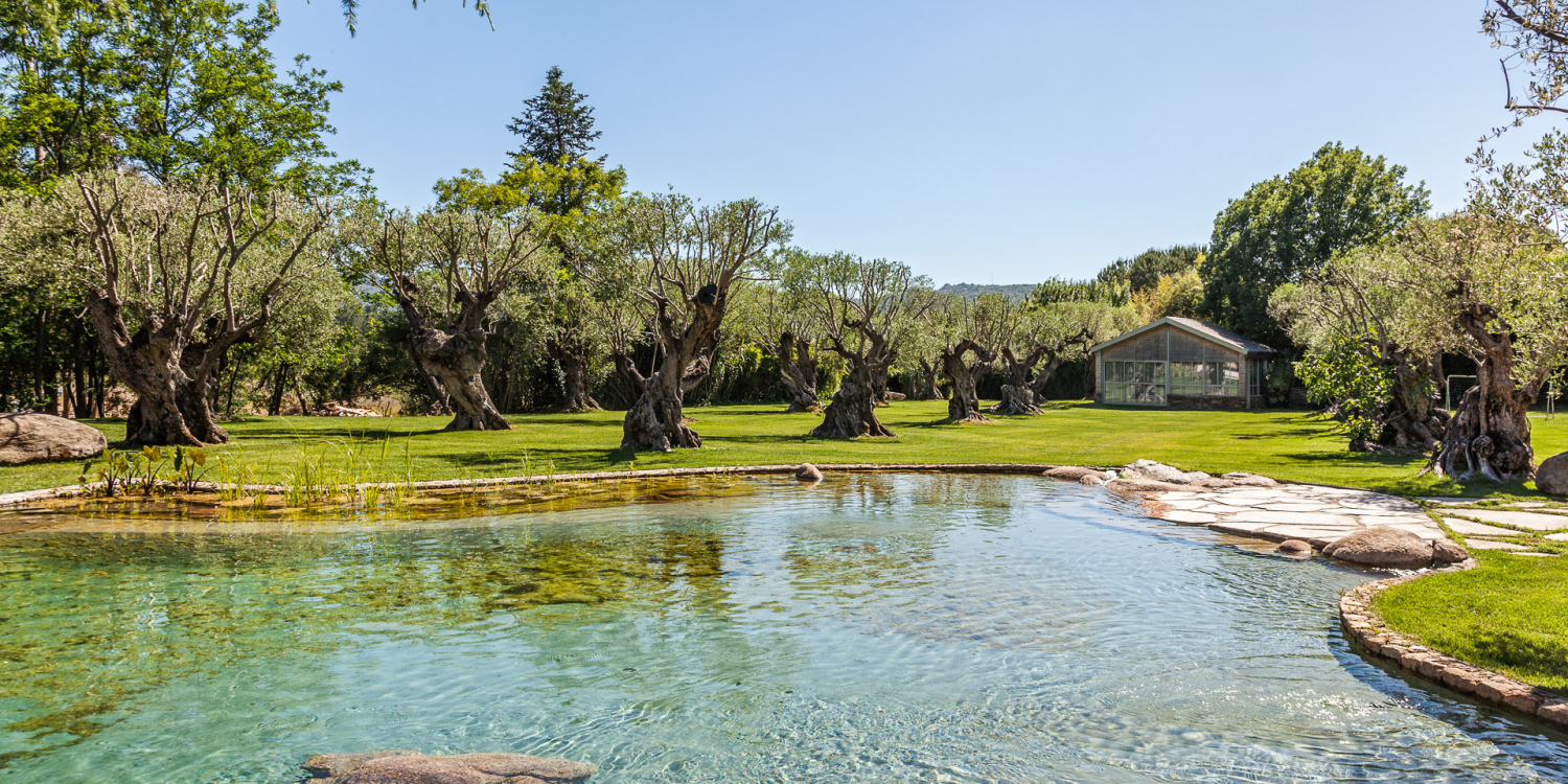 Photo 0 - Magnifique Domaine à Saint-Tropez - Piscine d'eau naturelle avec carpes dans le jardin d'Oliviers Millénaires 
