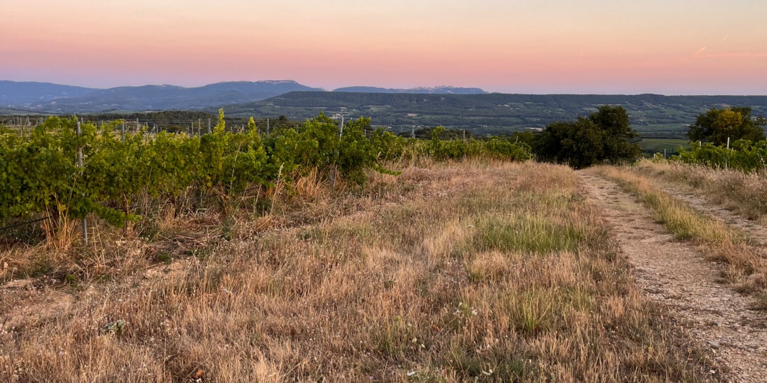 Photo 5 - Vineyard - beautiful view - large flat land - Le terrain