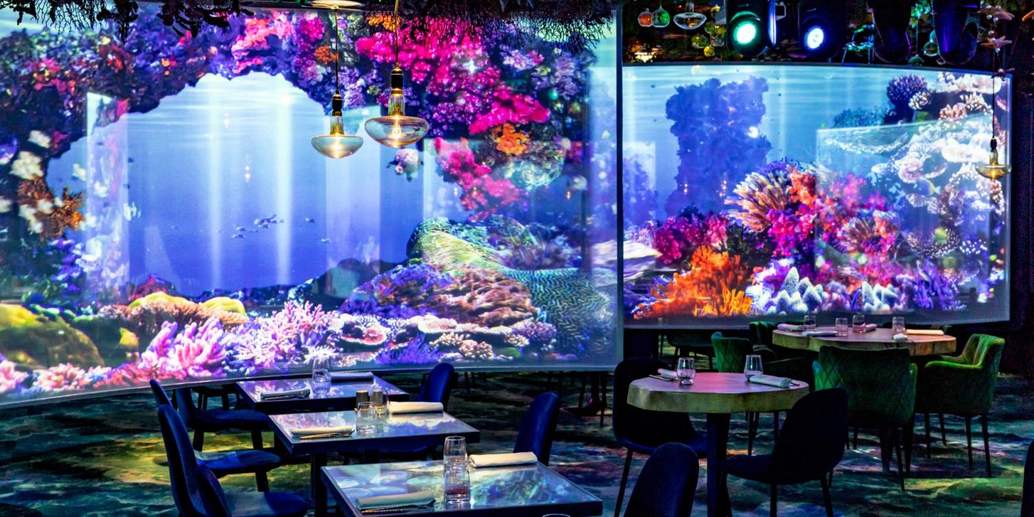 Photo 1 - Plongée sous marine dans un restaurant immersif parisien - 