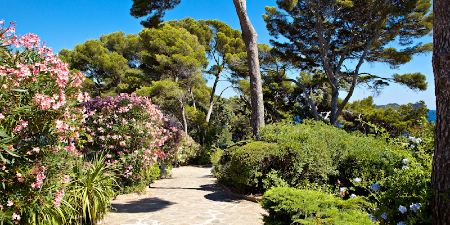 Photo 1 - Sublime Parc Provençal au cœur d'une pinède avec vue mer offrant restauration et hébergement - Le parc