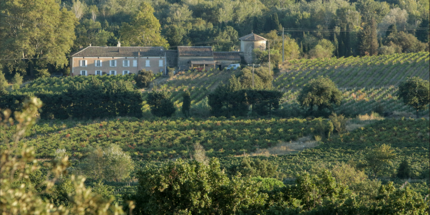Photo 0 - Mas provençal du 18ème siècle avec chapelle et vignes - Le domaine