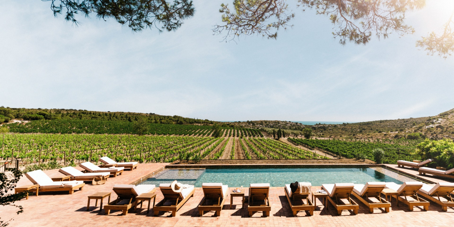 Photo 1 - Château Wine & Spa 5* - La piscine avec vignes à perte de vue et la mer au loin