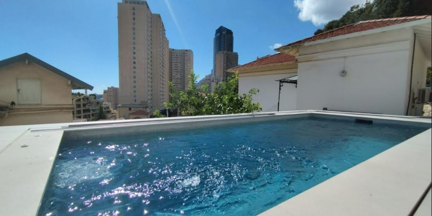 Photo 0 - Villa with swimming pool and garden, haven of peace, Monaco - La piscine et la vue