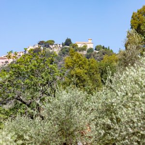 Photo 23 - Ferme française romantique avec vue panoramique - Vue de Cabris