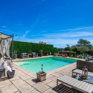 Photo 5 - Cannes -Bas de Villa avec splendide jardin exotique et méditerranéen avec piscine et  vue mer - 