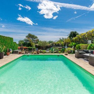 Photo 3 - Cannes -Bas de Villa avec splendide jardin exotique et méditerranéen avec piscine et  vue mer - 