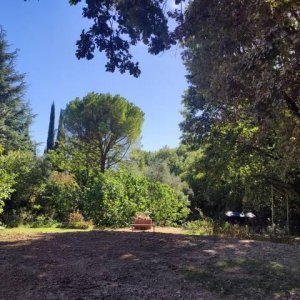 Photo 9 - Charming country villa near the center of Grasse - 