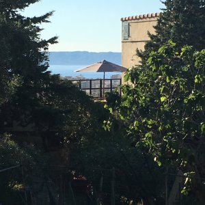 Photo 3 - Espaces extérieurs dans villa avec jardin piscine et vue exceptionnelle sur Marseille  - 
