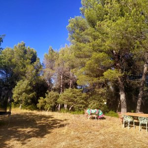 Photo 3 - Villa in Provençal land - 