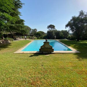 Photo 9 - Magnifique Villa avec piscine à Mougins - Espace piscine