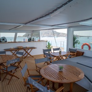 Photo 6 - Maxi-catamaran pour votre événement privé ou professionnel ! - 