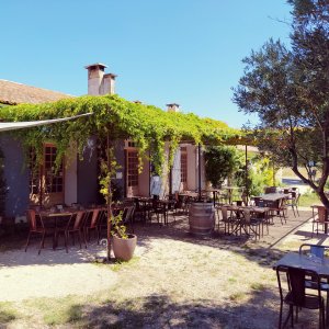 Photo 0 - Restaurant dans un Mas Provençal au coeur des Alpilles - 