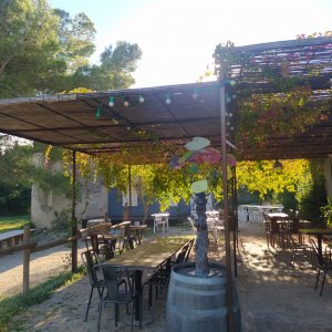 Photo 10 - Restaurant dans un Mas Provençal au coeur des Alpilles - 