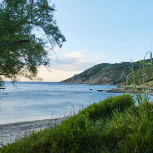 Photo 36 - Magnifique villa de luxe proche Saint-Tropez - chemin longeant le garage à bateau, accès à la plage
