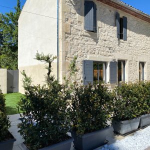 Photo 12 - Superb Provençal farmhouse with swimming pool and jacuzzi - 