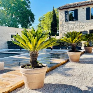 Photo 3 - Superbe Mas provençal avec piscine et jacuzzi - 