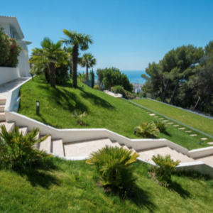 Photo 14 - Belle villa dans les hauteurs de Cannes - 