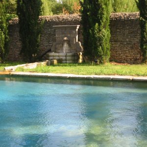 Photo 2 - Domaine provençal, grand jardin, vignes, oliviers - 