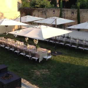 Photo 4 - Domaine provençal, grand jardin, vignes, oliviers - 