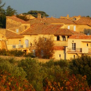 Photo 7 - Domaine provençal, grand jardin, vignes, oliviers - 