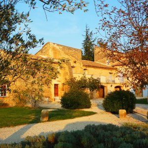 Photo 0 - Domaine provençal, grand jardin, vignes, oliviers - 
