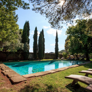 Photo 1 - Domaine provençal, grand jardin, vignes, oliviers - 