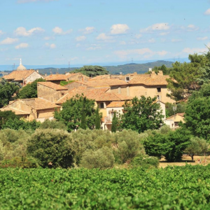 Photo 26 - Provençal estate, large garden, vineyards, olive trees - 