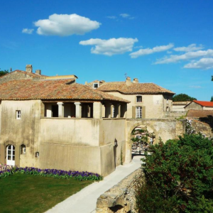 Photo 32 - Domaine provençal, grand jardin, vignes, oliviers - 