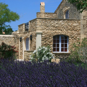 Photo 31 - Provençal estate, large garden, vineyards, olive trees - 
