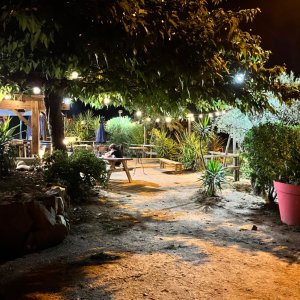 Photo 10 - Restaurant atypique proche d'Ajaccio - terrasse à aménager selon vos besoins