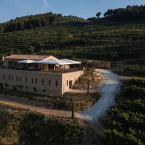 Photo 1 - Domaine viticole avec une vue panoramique au cœur de l'appellation Bandol  - Domaine