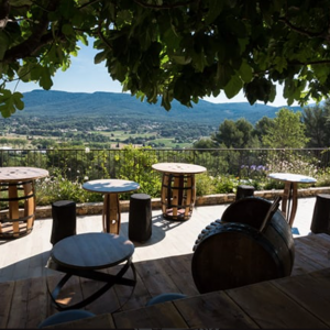 Photo 4 - Domaine viticole avec une vue panoramique au cœur de l'appellation Bandol  - Terrasse figuier 