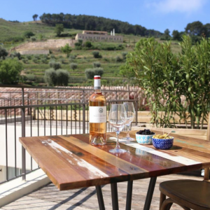 Photo 13 - Domaine viticole avec une vue panoramique au cœur de l'appellation Bandol  - 