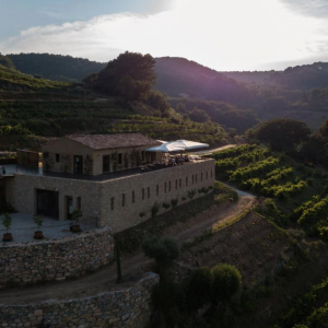 Photo 15 - Domaine viticole avec une vue panoramique au cœur de l'appellation Bandol  - Domaine 
