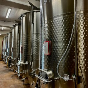 Photo 18 - Domaine viticole avec une vue panoramique au cœur de l'appellation Bandol  - cuves en inox 
