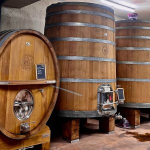 Photo 19 - Domaine viticole avec une vue panoramique au cœur de l'appellation Bandol  - cuves foudre et tronconique 